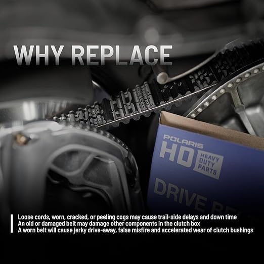 3211218 - RANGER SP 570/1000 BELT