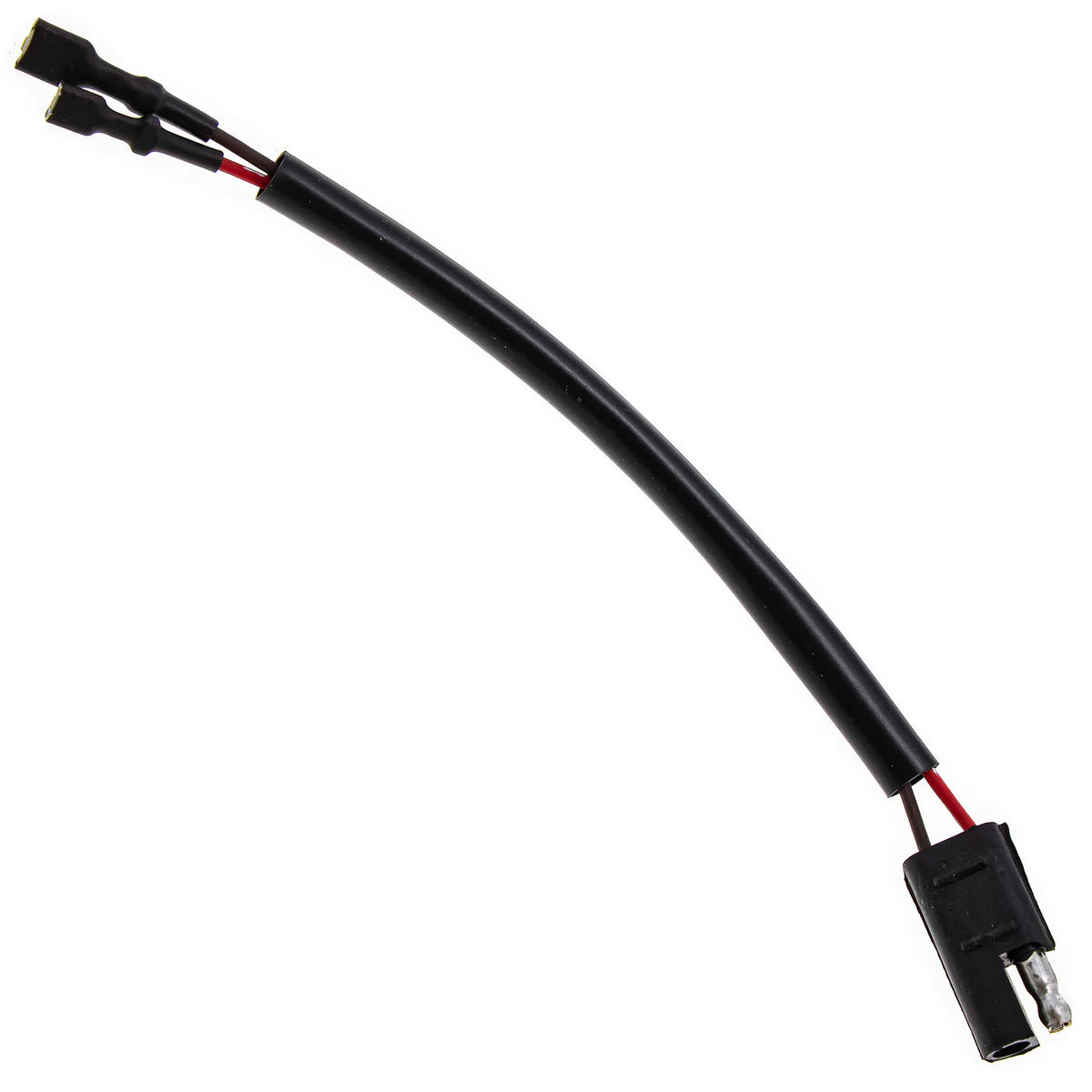 12 Volt RCA Plug Outlet