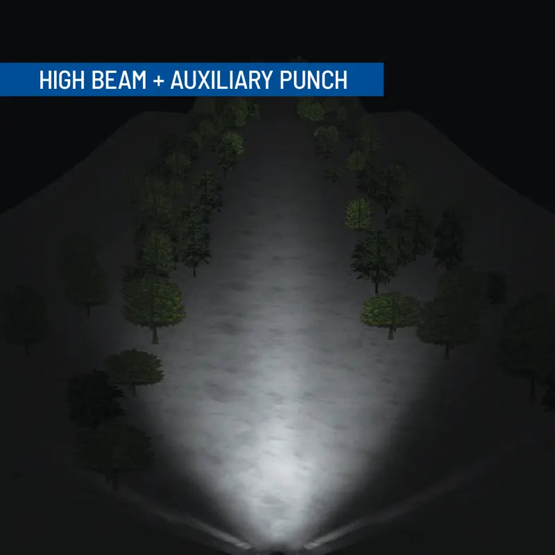 AUXILIARY PUNCH LIGHTS
